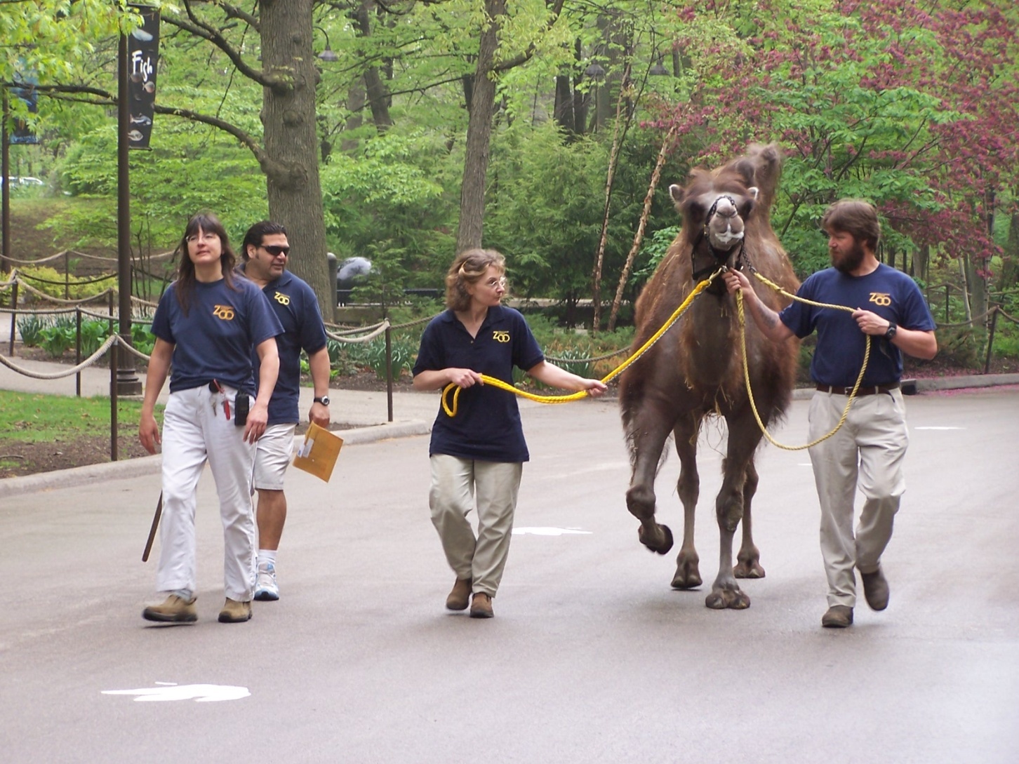 Dr. John Scheels - Exotic Animal Dentistry